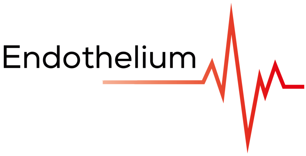 Endothelium